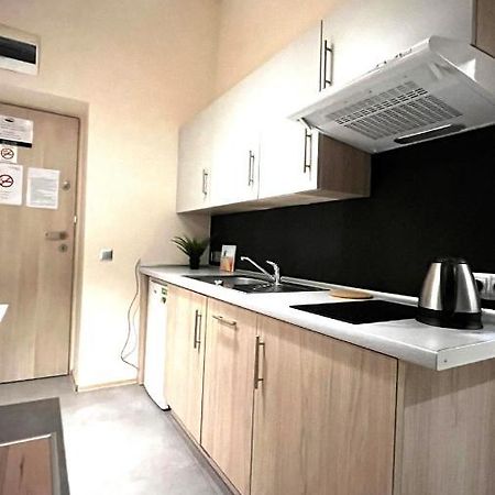 Single Studio In City Center Krakow Dış mekan fotoğraf