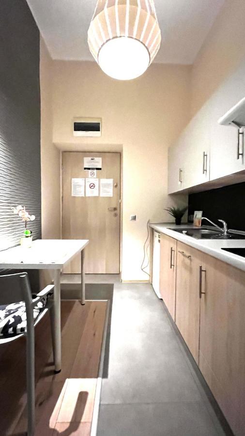 Single Studio In City Center Krakow Dış mekan fotoğraf