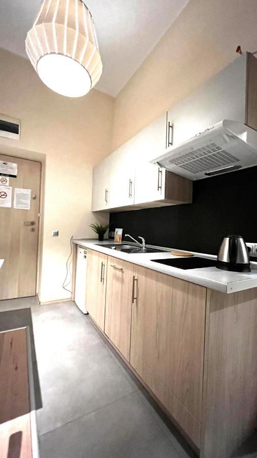 Single Studio In City Center Krakow Dış mekan fotoğraf